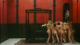 Штабелированный евро Babes Hot Office Threesome